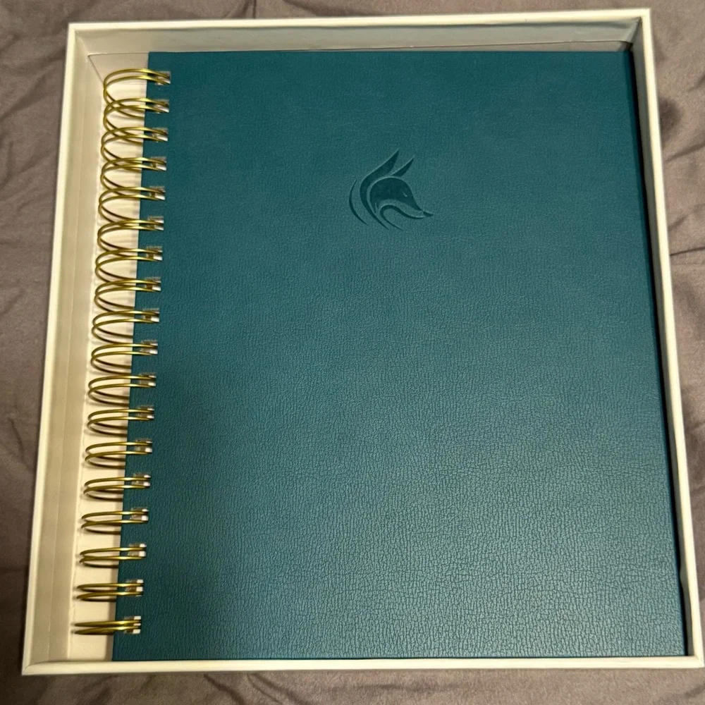 Clever Fox Budget Planner & Monthly Bill Organizer Expense Tracker Teal Green